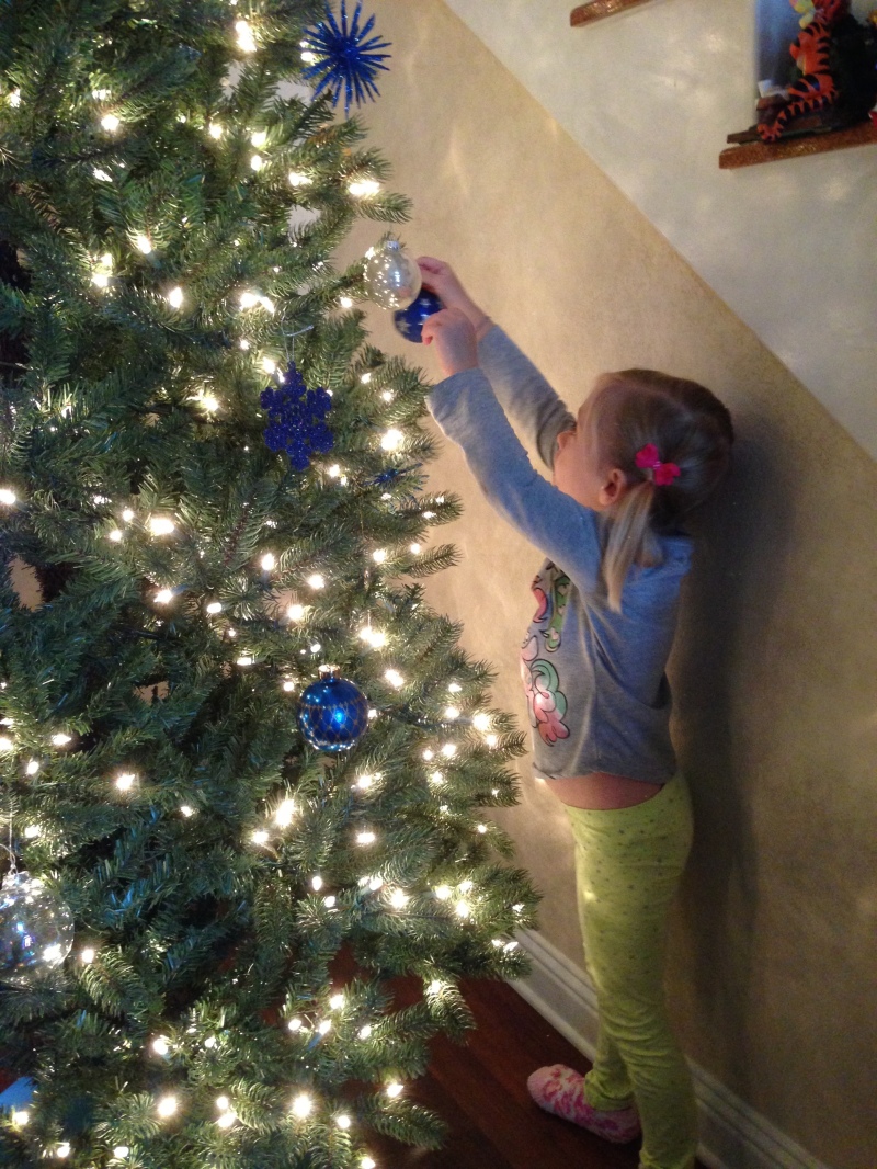 2013-11-30 15-02-16 Pre Christmas Decor.jpg
